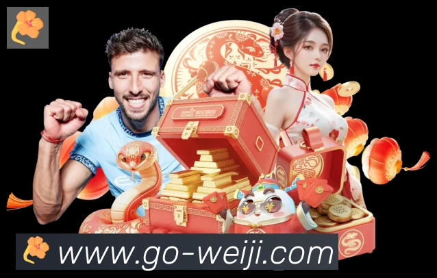 未来规划