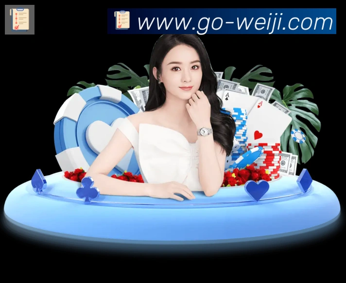 App功能展示图